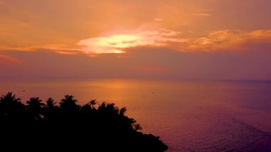 Palm trees tropical island of Phuket, Thailand at sunset with vivid sky