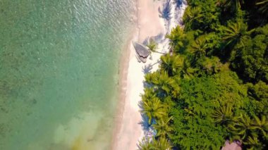 Tropical sand beach with palm trees in sunset, sunrise, aerial dolly shot flying through the trunks, wild pristine beach in Hawaii