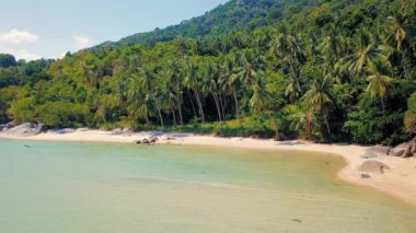 Tropical sand beach with palm trees in sunset, sunrise, aerial dolly shot flying through the trunks, wild pristine beach in Hawaii