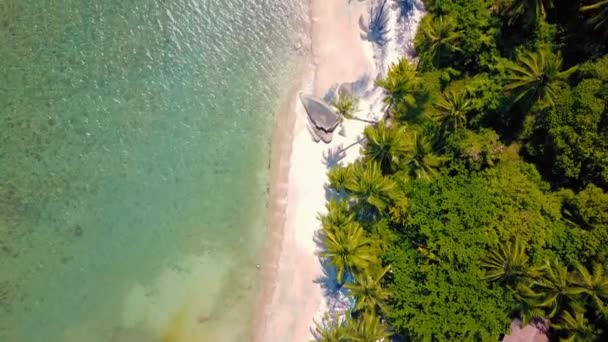 Tropical Sand Beach Palm Trees Sunset Sunrise Aerial Dolly Shot — Vídeos de Stock