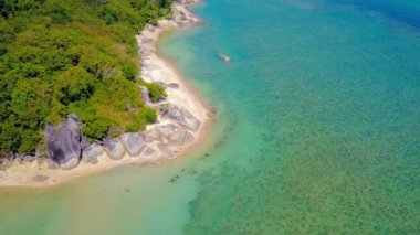 Tropical sand beach with palm trees in sunset, sunrise, aerial dolly shot flying through the trunks, wild pristine beach in Hawaii