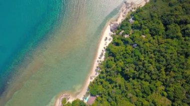 Tropical sand beach with palm trees in sunset, sunrise, aerial dolly shot flying through the trunks, wild pristine beach in Hawaii