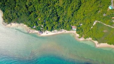 Tropical sand beach with palm trees in sunset, sunrise, aerial dolly shot flying through the trunks, wild pristine beach in Hawaii