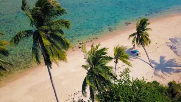 Tropical Sand Beach Palm Trees Sunset Sunrise Aerial Dolly Shot — Stockvideo