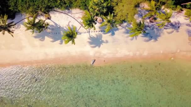 Pantai Pasir Tropis Dengan Pohon Palem Saat Matahari Terbenam Matahari — Stok Video