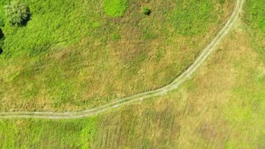 Country road between beautiful colorful autumn fields aerial view