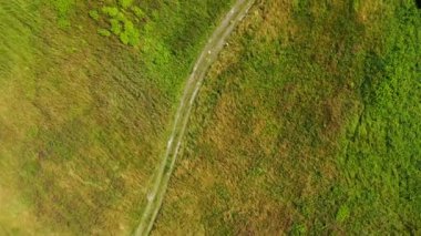 Country road between beautiful colorful autumn fields aerial view