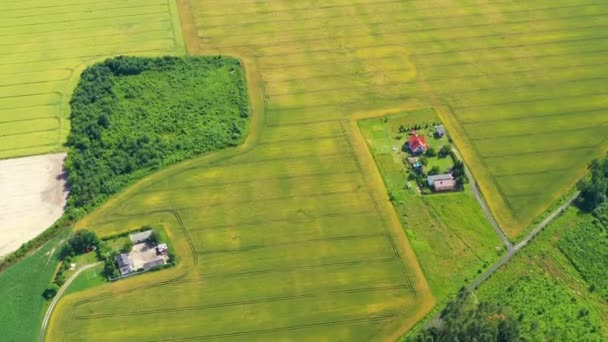 Hermosa Vista Aérea Del Campo Agrícola Verde Amanecer Drone Volando — Vídeos de Stock