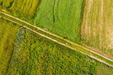 Aerial view of agriculture fields and road . Arable land view from above
