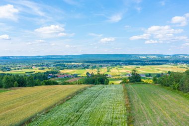 Green fields aerial view before harvest at summer. Aerial view of green fields