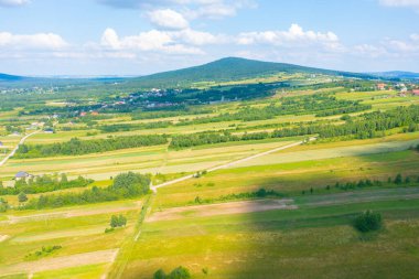 Green fields aerial view before harvest at summer. Aerial view of green fields