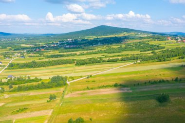 Green fields aerial view before harvest at summer. Aerial view of green fields