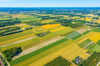 Yeşil alan bahar mevsimi. Havadan görünümü. Buğday.