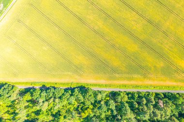 Güzel kırsal sahne. Kırsal road, tarım, Hayvancılık, mera hava görünümünü. Harika manzara. Kırsal sahne. Agriculcure sahne. Çiftlik sahne. Alan sahne. Countyside görünümü. Tarım. Duvar kağıdı, desen, doku, tasarım