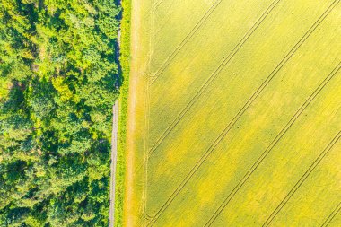 Güzel kırsal sahne. Kırsal road, tarım, Hayvancılık, mera hava görünümünü. Harika manzara. Kırsal sahne. Agriculcure sahne. Çiftlik sahne. Alan sahne. Countyside görünümü. Tarım. Duvar kağıdı, desen, doku, tasarım