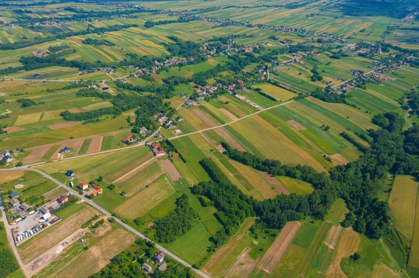 Güzel kırsal sahne. Kırsal road, tarım, Hayvancılık, mera hava görünümünü. Harika manzara. Kırsal sahne. Agriculcure sahne. Çiftlik sahne. Alan sahne. Countyside görünümü. Tarım. Duvar kağıdı, desen, doku, tasarım