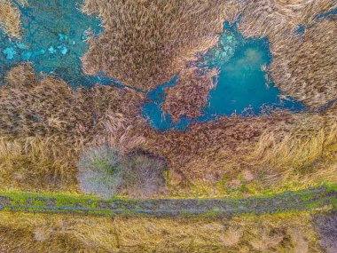 An aerial shot of the landscape with small lake surrounded by trees and field