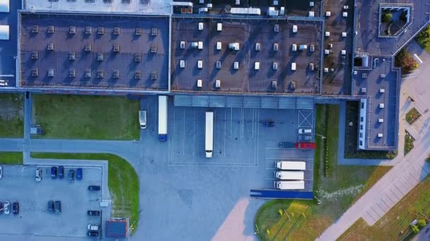 从空中俯瞰货物仓库 从上方看工业园区的物流中心 从空中俯瞰后勤中心装载的卡车 从无人机观看 — 图库视频影像