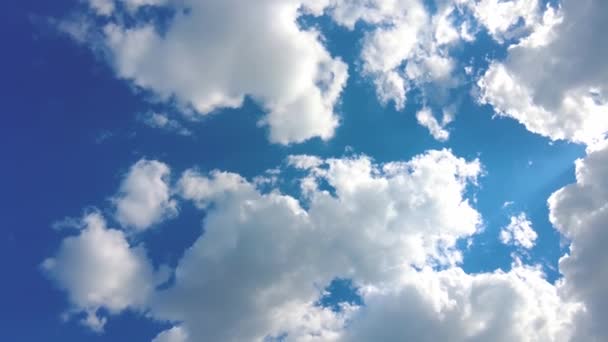 Blauer Himmel Weiße Wolken Geschwollene Flauschige Weiße Wolken Cumuluswolken Zeitraffer — Stockvideo