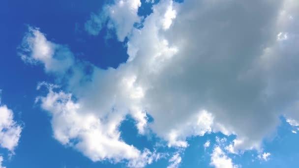 Niebieskie Niebo Białe Chmury Puszyste Puszyste Białe Chmury Chmura Cumulus — Wideo stockowe