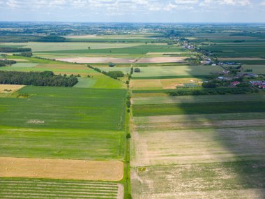 Farklı sarı ve yeşil renkli tarımsal ürünlerin soyut geometrik şekilleri. Hava görüntüsü doğrudan alanın üstündeki İHA 'dan çekiliyor