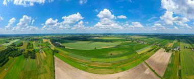 Farklı sarı ve yeşil renkli tarımsal ürünlerin soyut geometrik şekilleri. Hava görüntüsü doğrudan alanın üstündeki İHA 'dan çekiliyor