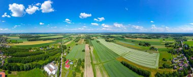 Farklı sarı ve yeşil renkli tarımsal ürünlerin soyut geometrik şekilleri. Hava görüntüsü doğrudan alanın üstündeki İHA 'dan çekiliyor