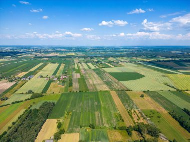 Farklı sarı ve yeşil renkli tarımsal ürünlerin soyut geometrik şekilleri. Hava görüntüsü doğrudan alanın üstündeki İHA 'dan çekiliyor