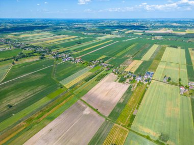 Farklı sarı ve yeşil renkli tarımsal ürünlerin soyut geometrik şekilleri. Hava görüntüsü doğrudan alanın üstündeki İHA 'dan çekiliyor