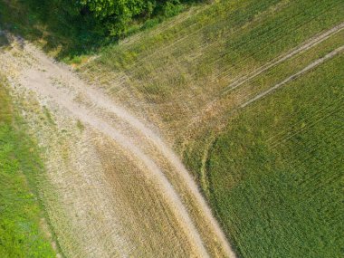 Farklı ekinlerden oluşan dikey tarımsal şeritler. Hava görüntüsü doğrudan alanın üstündeki İHA 'dan çekiliyor