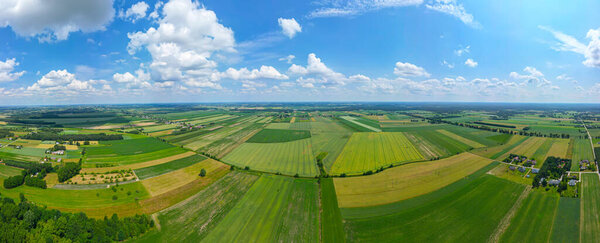 Abstract geometric shapes of agricultural parcels of different crops in yellow and green colors. Aerial view shoot from drone directly above field