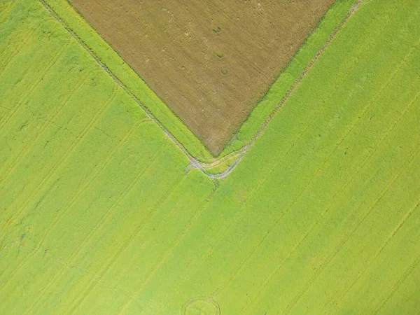 用黄绿两种颜色提取不同作物的农业包裹的几何形状 无人驾驶飞机直接在地面上空拍摄的空中图像 — 图库照片