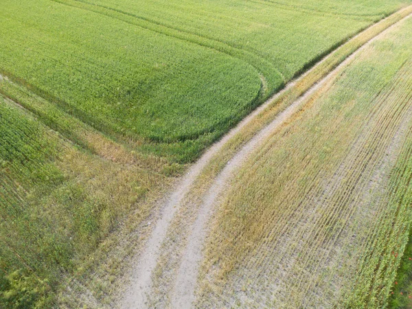 不同作物的农业包裹的垂直条纹 无人驾驶飞机直接在地面上空拍摄的空中图像 — 图库照片