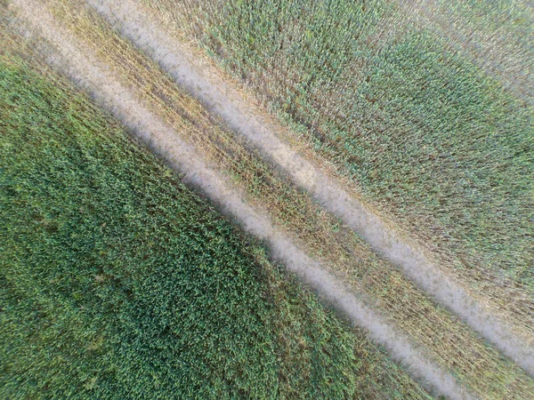 Vertical Stripes Agricultural Parcels Different Crops Aerial View Shoot Drone — Stock Photo, Image