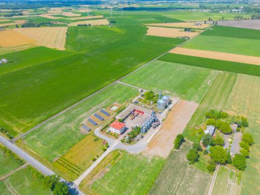 Çiftliğin havadan görünüşü, kırmızı ahırlar, eylülde mısır tarlası. Hasat mevsimi. Kırsal alan, Amerikan kırsal bölgesi. Güneşli sabah