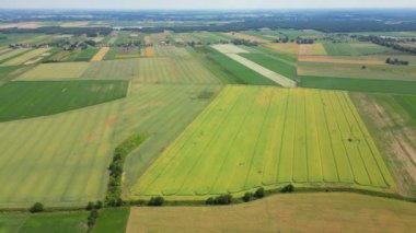 Farklı sarı ve yeşil renkli tarımsal ürünlerin soyut geometrik şekilleri. Hava görüntüsü doğrudan alanın üstündeki İHA 'dan çekiliyor