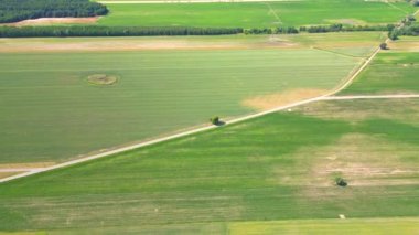 Yaz akşamları tarlalardan geçen kırsal yol