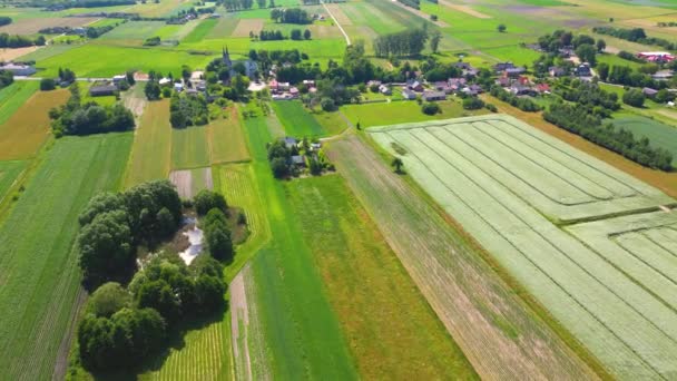 Farklı Sarı Yeşil Renkli Tarımsal Ürünlerin Soyut Geometrik Şekilleri Hava — Stok video