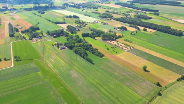用黄绿两种颜色提取不同作物的农业包裹的几何形状 无人驾驶飞机直接在地面上空拍摄的空中图像 — 图库视频影像