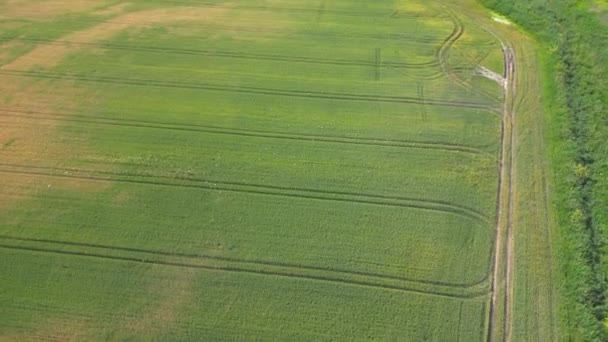 Route Rurale Traversant Les Terres Agricoles Pendant Soirée Été — Video