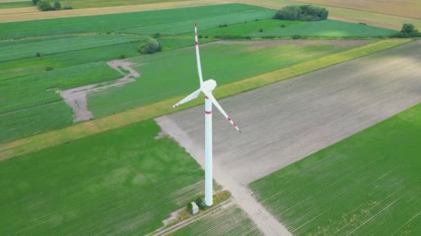 Antenni Drone Näkymä Tuulivoimaloiden Osa Tuulivoimapuisto Tuuliturbiinit Vihreällä Kentällä Maaseudulla — kuvapankkivideo