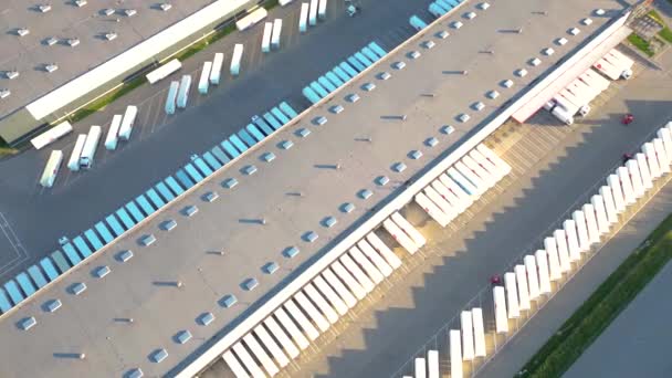 商品倉庫の空中展望について 上からの産業都市区域の物流センター ロジスティックセンターストックで積載するトラックの空中ビュー — ストック動画