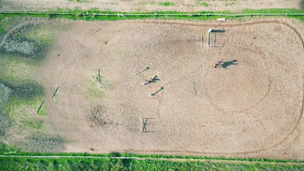 Luftaufnahme Von Drei Reitern Ein Reitplatz Mit Zaun Und Hindernissen — Stockvideo