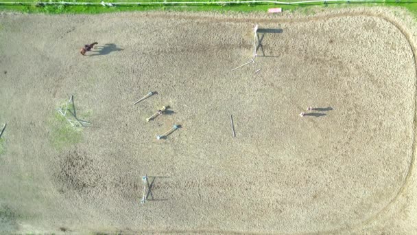 Aerial View Three Horsemen Riding Field Fence Obstacles Train Horses — Stock Video