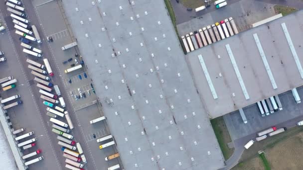 Semi Truck Cargo Trailer Travelling Parking Lot Warehouse Logistics Park — Vídeo de stock