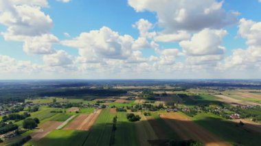 Bird's eye view of agricultural area and green wavy fields in sunny day. Agronomic industry. Agrarian region Europe. Cinematic aerial shot. Beauty of earth. Filmed in UHD 4k, drone video.