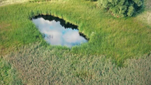 Vista Dall Alto Volo Aereo Sopra Piccolo Lago Forma Perfettamente — Video Stock