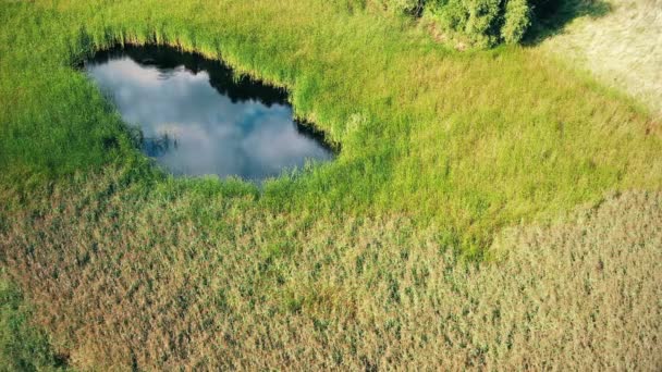 Rundflug Aus Der Vogelperspektive Über Einen Kleinen See Von Perfekt — Stockvideo