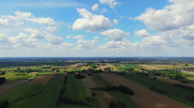 Bird's eye view of agricultural area and green wavy fields in sunny day. Agronomic industry. Agrarian region Europe. Cinematic aerial shot. Beauty of earth. Filmed in UHD 4k, drone video.