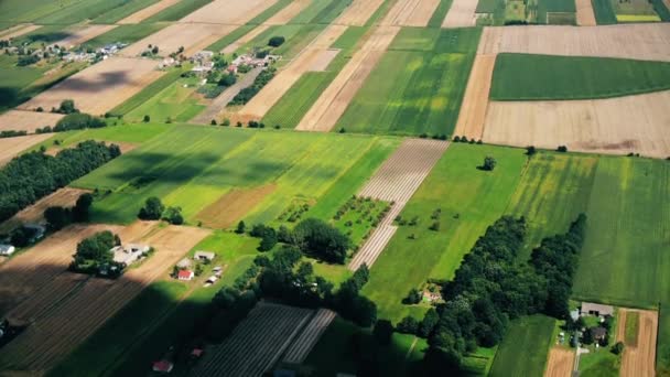 하늘에 필드와 태양의 유럽에서 끝없는 분야의 아름다운 시골에서 작물을 — 비디오